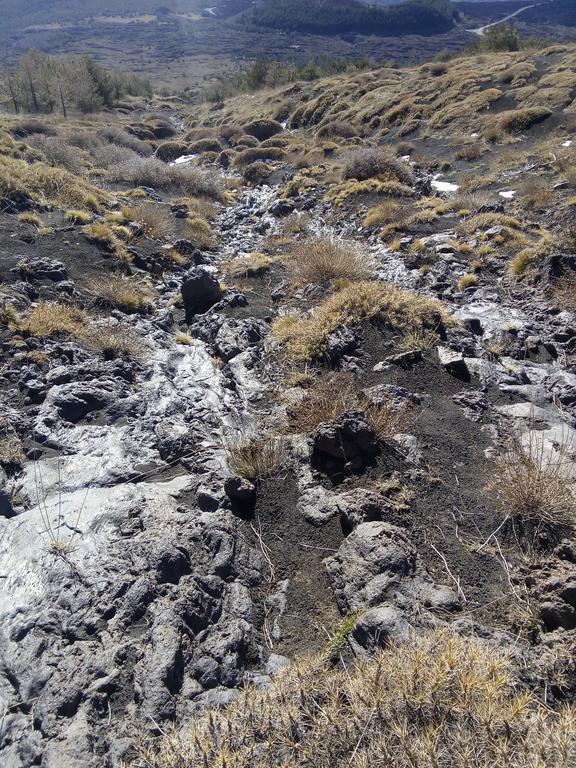 مبيت وإفطار نيكولوسي Il Giardino Di Leoca المظهر الخارجي الصورة
