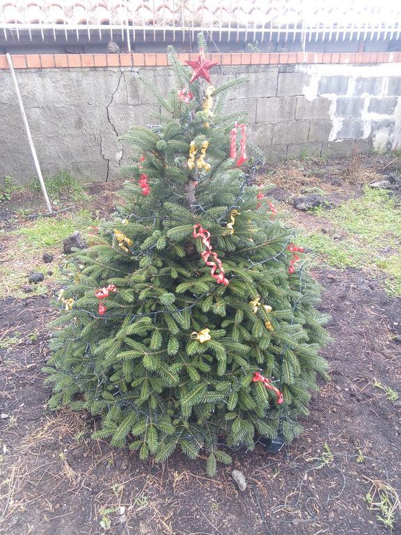 مبيت وإفطار نيكولوسي Il Giardino Di Leoca المظهر الخارجي الصورة