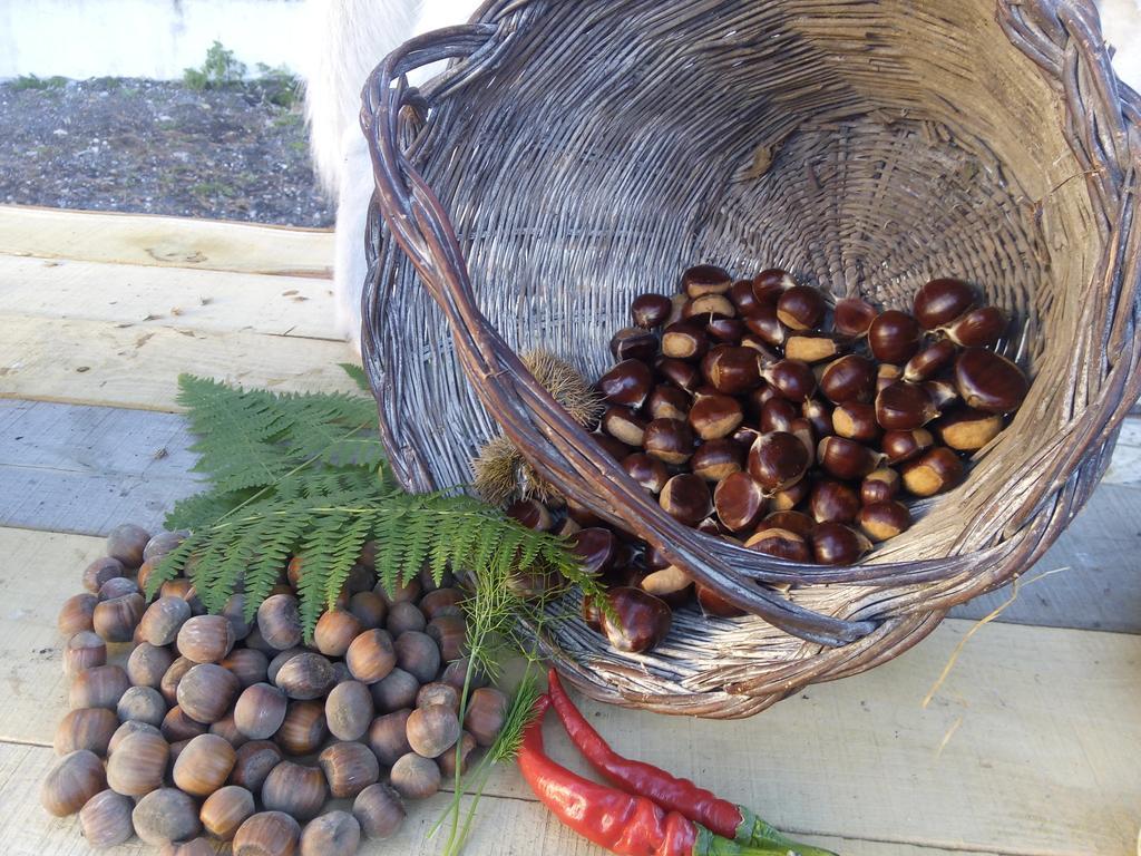 مبيت وإفطار نيكولوسي Il Giardino Di Leoca الغرفة الصورة