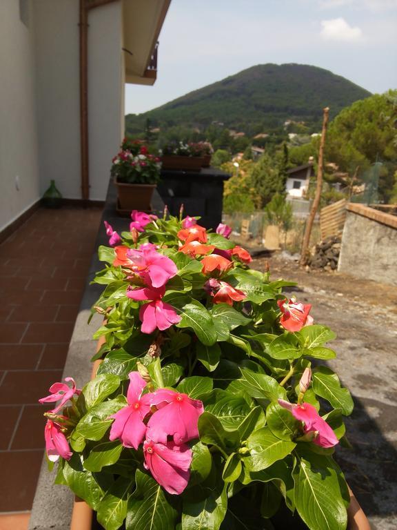 مبيت وإفطار نيكولوسي Il Giardino Di Leoca المظهر الخارجي الصورة